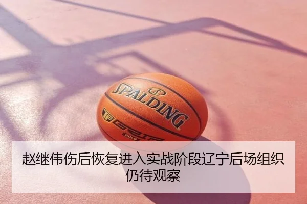 赵继伟伤后恢复进入实战阶段辽宁后场组织仍待观察